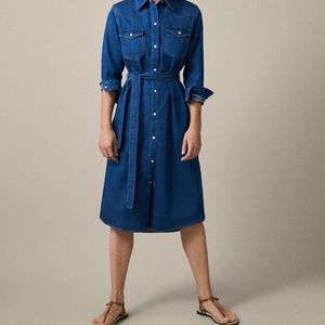 Massimo Dutti Denim Dress